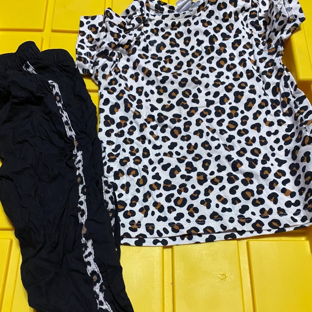 Cheetah Print Toddler Girls Set